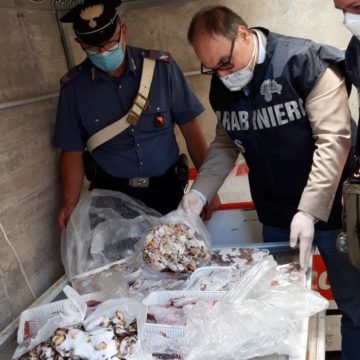 Salemi, controlli dei carabinieri in un supermercato e sanzioni per oltre 16000 euro