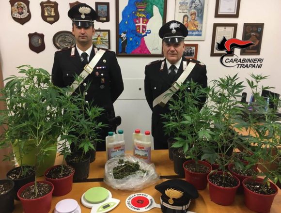 Marsala, coltivava marijuana. Arrestato Marsala, coltivava marijuana. Arrestato