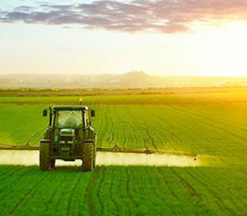Agricoltura terapeutica: riscoprire il valore della terra come strumento di inclusione sociale. Duei bandi della Regione Sicilia. Domande entro il 30 ottobre