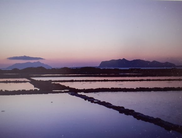 Tutto esaurito al concerto alle Saline di Marsala dedicato ai 140 anni di storia delle Cantine Pellegrino Tutto esaurito al concerto alle Saline di Marsala dedicato ai 140 anni di storia delle Cantine Pellegrino