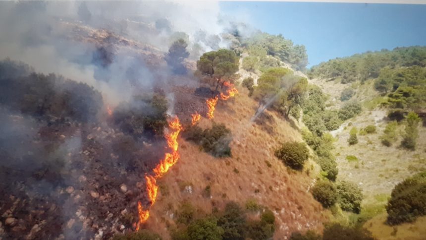 Incendi: fiamme su  Macari e Montagna Grande in provincia di Trapani
