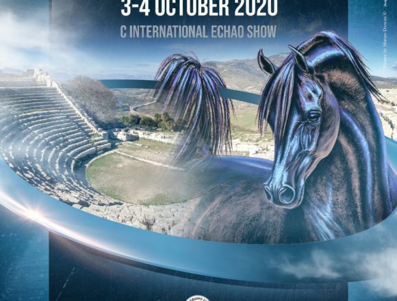 Al centro ippico “Pietra dei fiori” la “Trapani Arabian Horse Cup” Al centro ippico “Pietra dei fiori” la “Trapani Arabian Horse Cup”