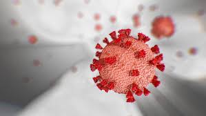 Coronavirus, Razza:”Guariti in aumento, ma sbagliato dire covid non ce n’è o che moriremo tutti”