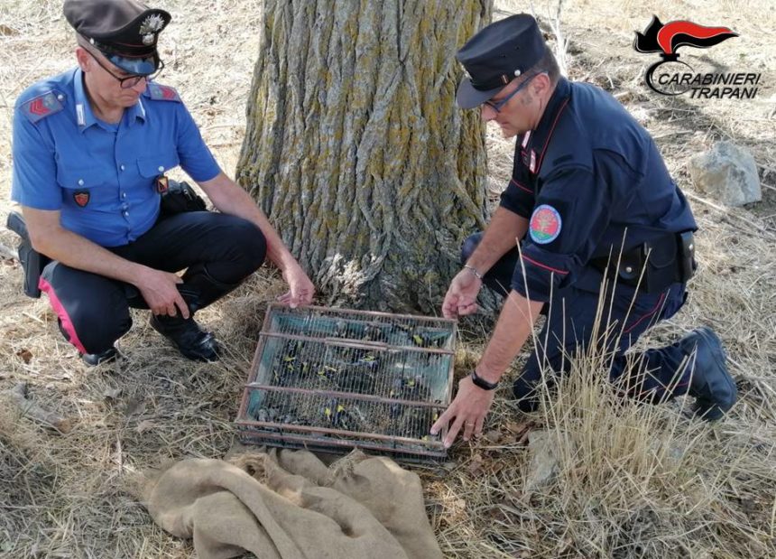 Castellammare del Golfo: i Carabinieri forestali arrestano un bracconiere per furto venatorio
