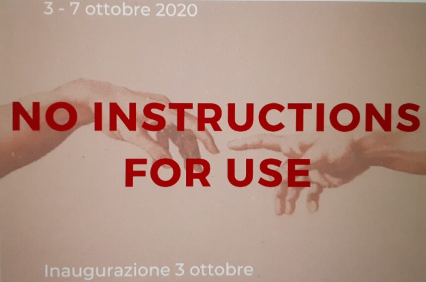 Paola Fortunata Vitaggio fra gli artisti partecipanti alla Mostra collettiva di arte contemporanea “No instructions for use” che verrà inaugurata il 3 ottobre presso le prestigiose sale espositive Palazzo della Cancelleria Vaticana