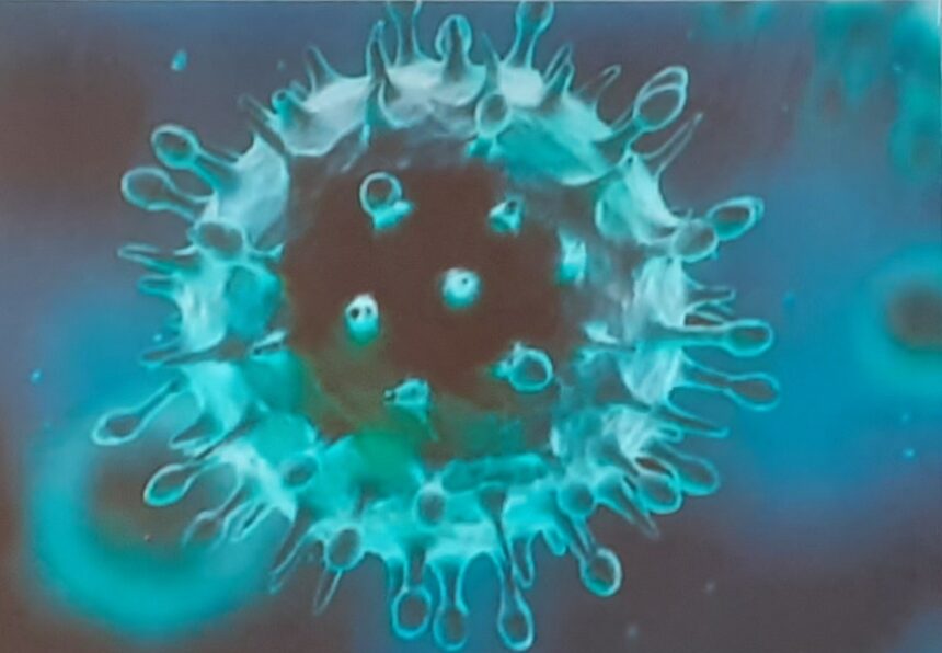 Coronavirus in provincia di Trapani. Oggi 274 i positivi