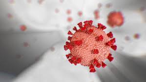 Coronavirus, Razza a Cancellieri, ordinanza condivisa con Roma Coronavirus, Razza a Cancellieri, ordinanza condivisa con Roma