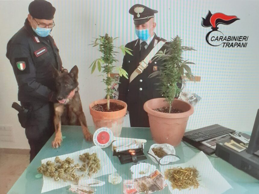 Mazara del Vallo, controllo del territorio, sanzioni amministrative per oltre 6 mila euro