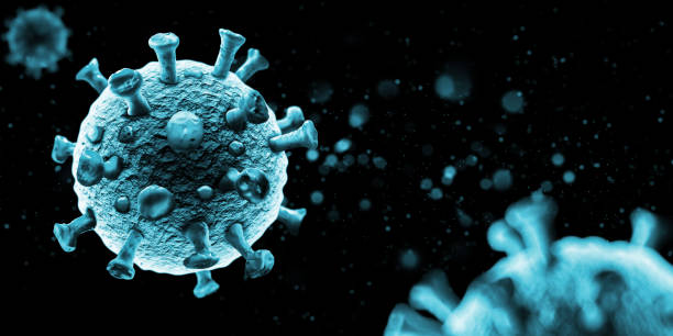 Coronavirus, in provincia aumentano i casi positivi e i ricoverati Sono 524 i positivi a Trapani, 334 ad Alcamo, 239 a Mazara del Vallo, 229 a Marsala