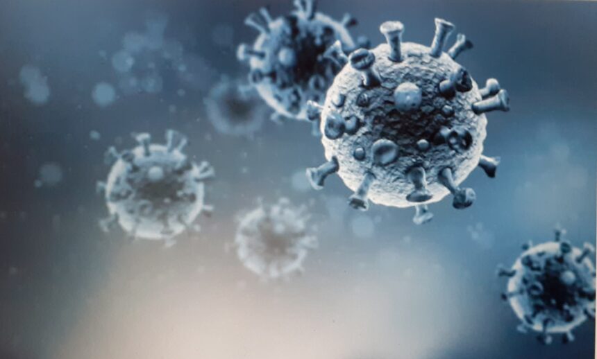 Coronavirus, bollettino provincia di Trapani  16 novembre