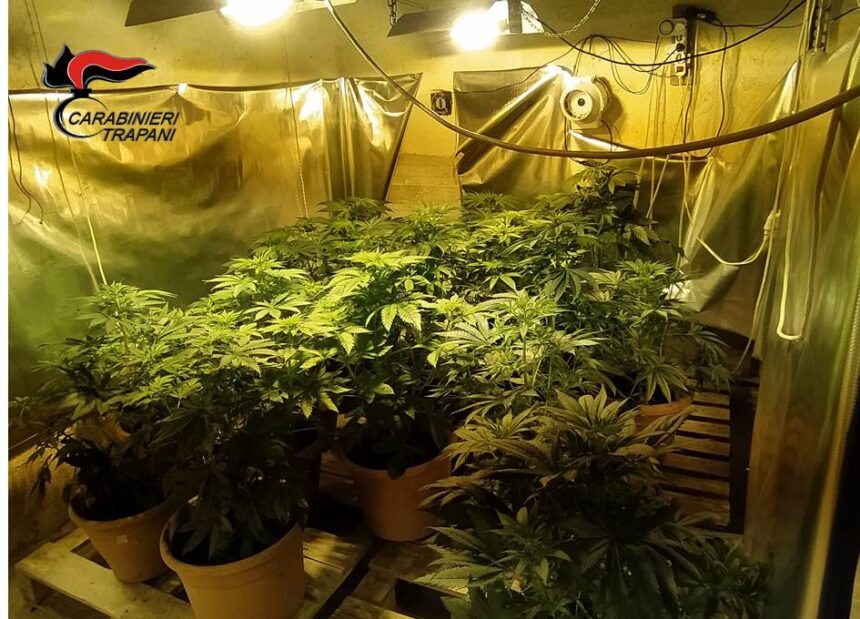 Valderice: spaccio di droga e coltivazione di marijuana. 40enne arrestato dai Carabinieri