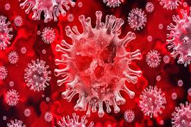 Coronavirus in provincia di Trapani, risale la curva dei contagi: oggi 21 gennaio 2921 i positivi