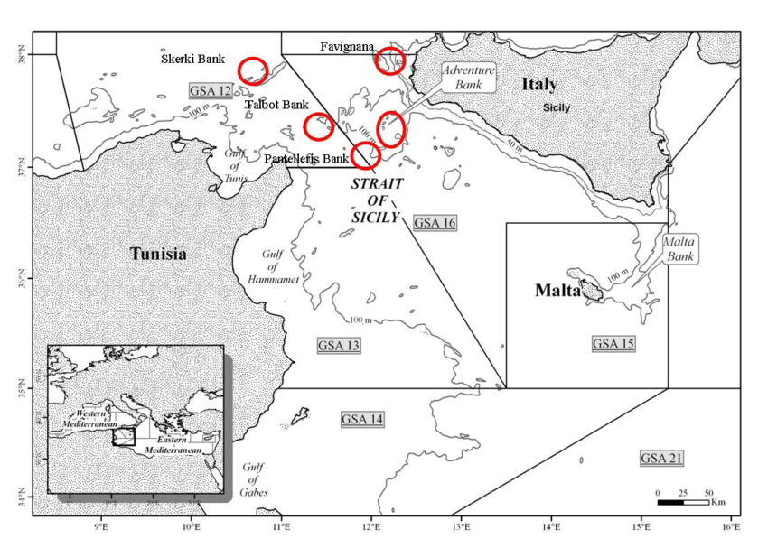 L’AGCI-Agrital e il Settore Pesca AGCI Sicilia contrari alla realizzazione del parco eolico off shore Renexia