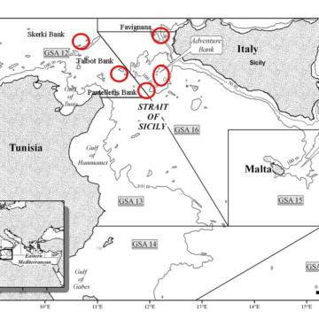 L’AGCI-Agrital e il Settore Pesca AGCI Sicilia  esprimono contrarietà alla realizzazione del parco eolico off shore Renexia