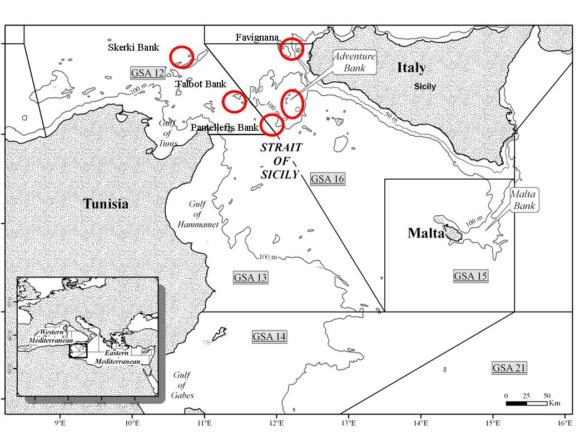 L’AGCI-Agrital e il Settore Pesca AGCI Sicilia esprimono contrarietà alla realizzazione del parco eolico off shore Renexia L’AGCI-Agrital e il Settore Pesca AGCI Sicilia esprimono contrarietà alla realizzazione del parco eolico off shore Renexia