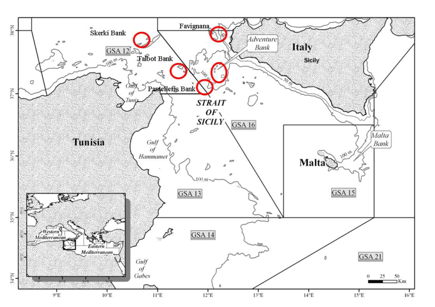 L’AGCI-Agrital e il Settore Pesca AGCI Sicilia  esprimono contrarietà alla realizzazione del parco eolico off shore Renexia