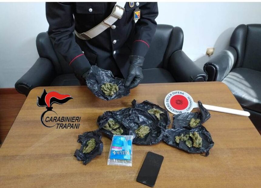 Il pastore belga Nadia fiuta la droga: i Carabinieri arrestano un 33enne