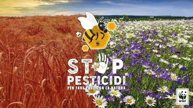 Stop pesticidi: lettera aperta dell’Alleanza Ice “Salviamo api e agricoltori” ai decisori italiani