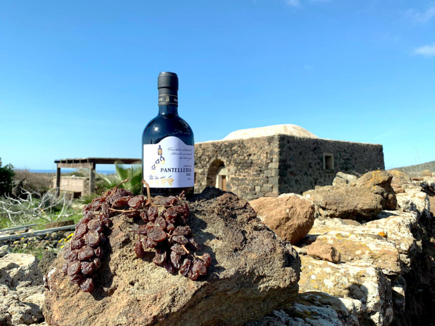 Il “Passito della Solidarietà” a sostegno dei futuri protagonisti della viticoltura eroica di Pantelleria