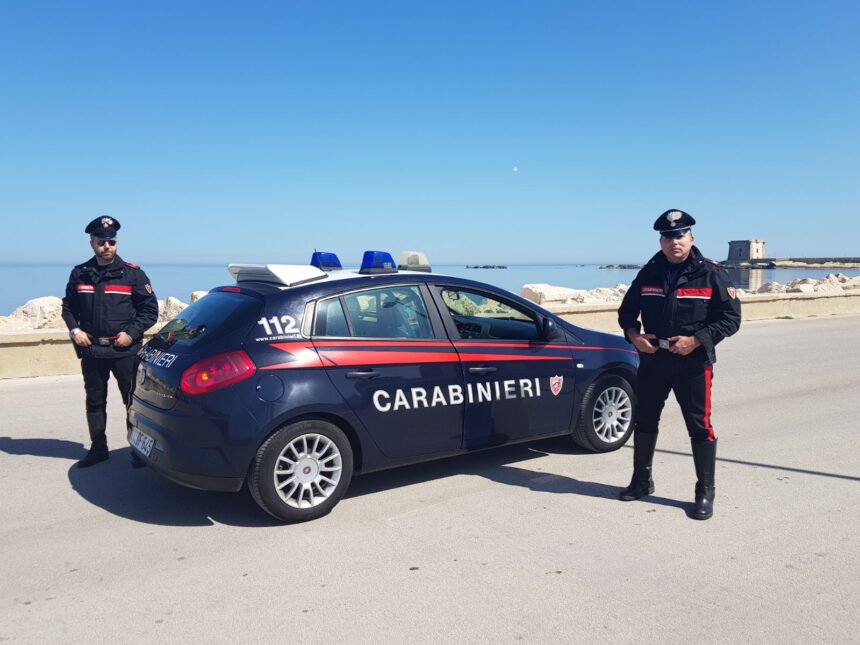 Accertamenti condotti dai Carabinieri  in collaborazione con il personale del Nucleo Ispettorato del Lavoro di Trapani