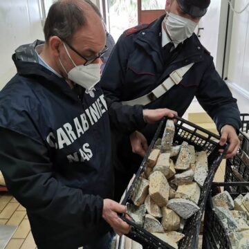 Alimenti scaduti ed in cattivo stato di conservazione all’interno di un caseificio di Paceco: i Carabinieri denunciano il legale responsabile dell’attività