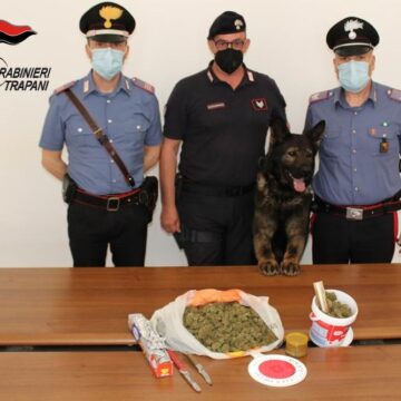 Il bravissimo cane Lego e i carabinieri trovano 500 gr di Marijuana: arrestato un 30enne a Marsala