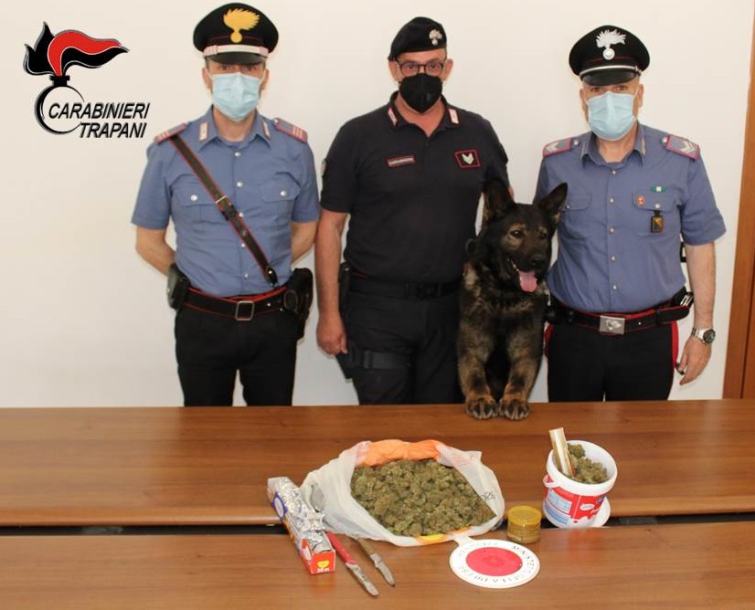 Il bravissimo cane Lego e i carabinieri trovano 500 gr di Marijuana: arrestato un 30enne a Marsala