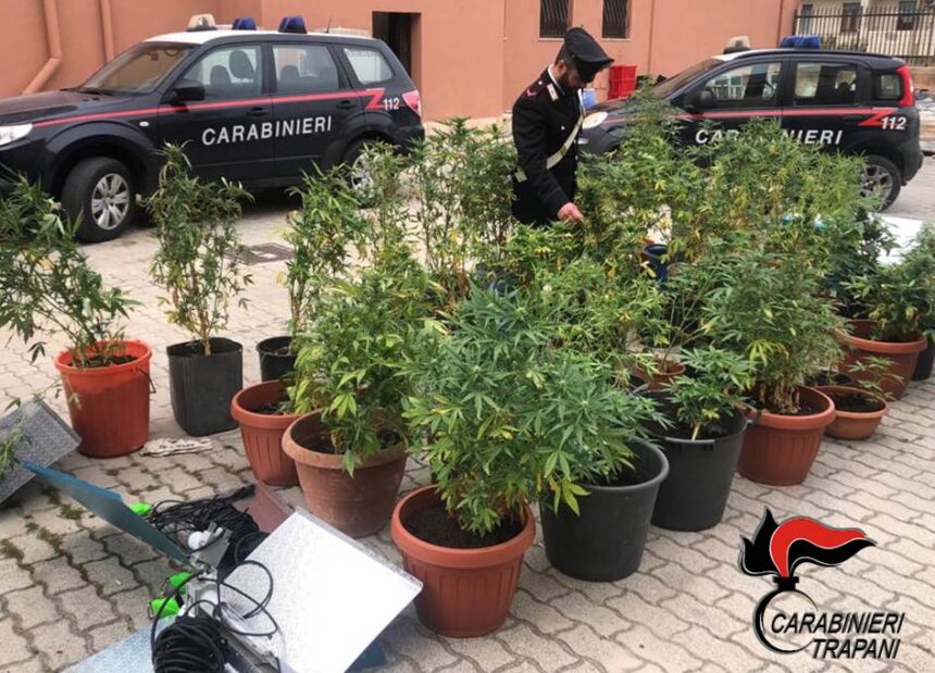 Pantelleria: coltivazione autindoor. Arrestato isolano dal pollice verde
