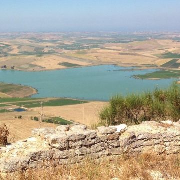 Alga rossa nella Diga Rubino, domani tavolo tecnico auspicato dal Sindaco Scarcella