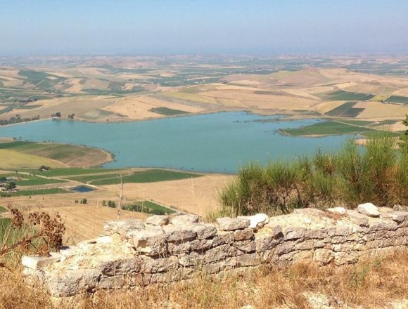 Alga rossa nella Diga Rubino, domani tavolo tecnico auspicato dal Sindaco Scarcella Alga rossa nella Diga Rubino, domani tavolo tecnico auspicato dal Sindaco Scarcella