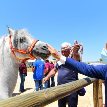 Sport equestri, ad Ambelia aperta la “Fiera mediterranea del cavallo”