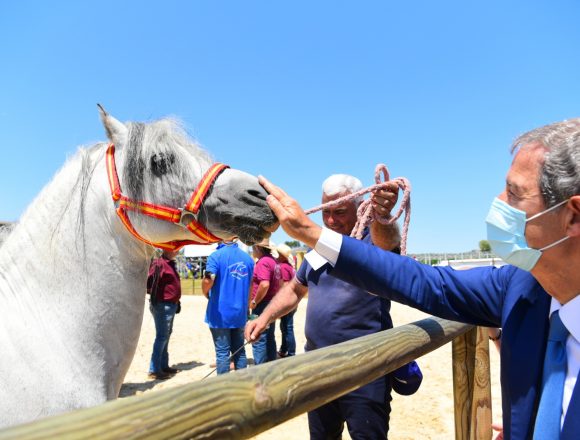 Sport equestri, ad Ambelia aperta la “Fiera mediterranea del cavallo” Sport equestri, ad Ambelia aperta la “Fiera mediterranea del cavallo”