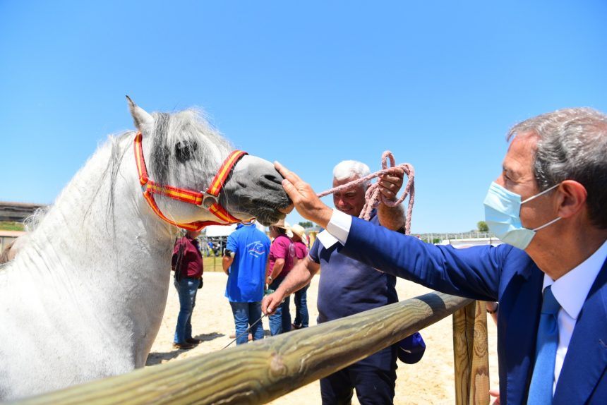 Sport equestri, ad Ambelia aperta la “Fiera mediterranea del cavallo”