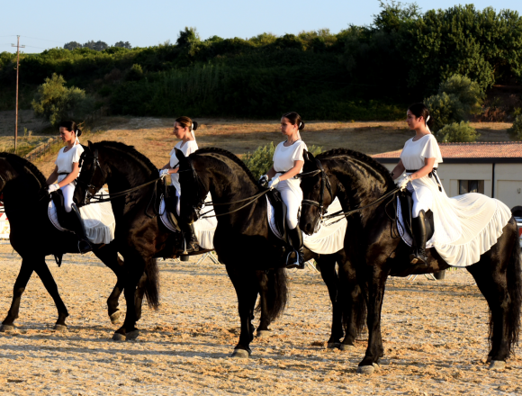 Terza Fiera Mediterranea del cavallo. Un pomeriggio immersi nella cultura equestre Terza Fiera Mediterranea del cavallo. Un pomeriggio immersi nella cultura equestre