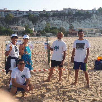 Tornano a Sciacca le tartarughe marine