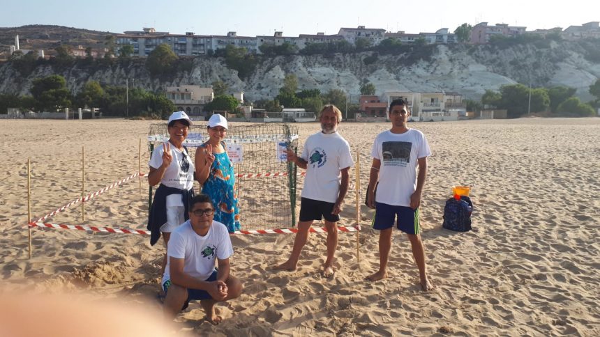 Tornano a Sciacca le tartarughe marine