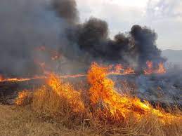 Incendi, Musumeci: «Apprezzamento per “stato di emergenza”, in attesa dei fondi per aziende»