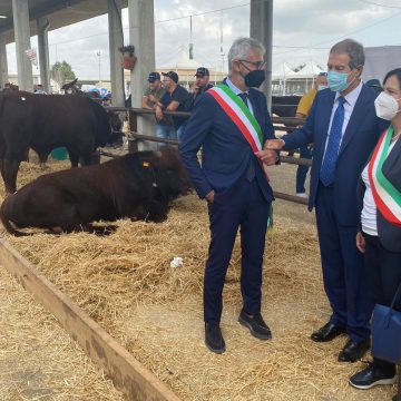 Agroalimentare, Musumeci a Ragusa: «Valorizzare le razze autoctone e conquistare nuovi mercati»