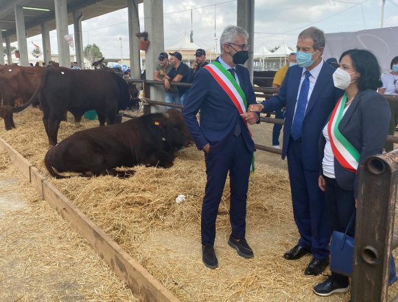 Agroalimentare, Musumeci a Ragusa: «Valorizzare le razze autoctone e conquistare nuovi mercati» Agroalimentare, Musumeci a Ragusa: «Valorizzare le razze autoctone e conquistare nuovi mercati»