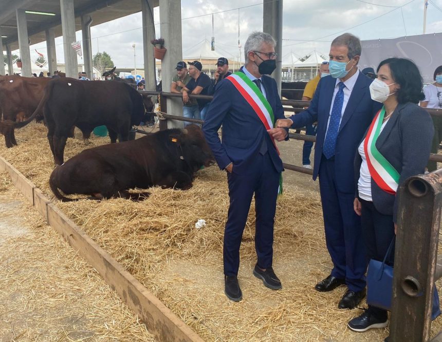 Agroalimentare, Musumeci a Ragusa: «Valorizzare le razze autoctone e conquistare nuovi mercati»