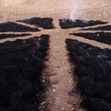 I riti della Rinascita al Parco di Selinunte