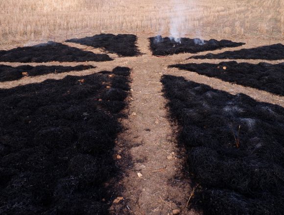 I riti della Rinascita al Parco di Selinunte