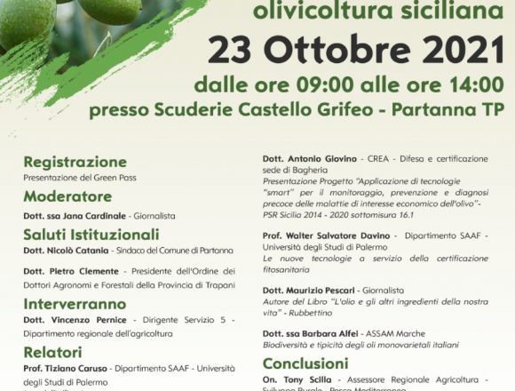 “Il valore della biodiversità autoctona nella nuova olivicoltura siciliana”. Sabato 23 ottobre il convegno a Partanna