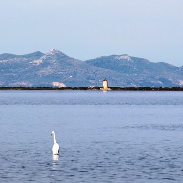 Riprese cinematografiche e televisive a Marsala positive ricadute promozionali sul territorio