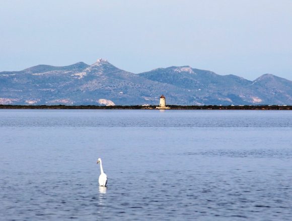 Riprese cinematografiche e televisive a Marsala positive ricadute promozionali sul territorio