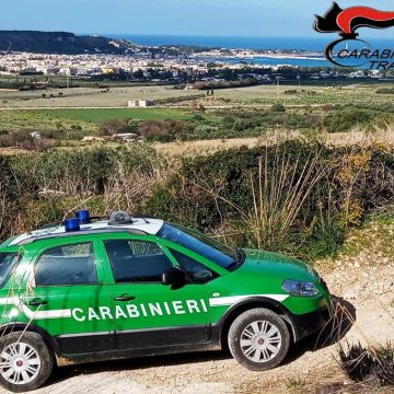 Trapani, maneggio abusivo e cavalli non in regola: i carabinieri forestali elevano sanzioni per 48 mila euro