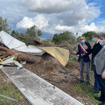 Maltempo, sopralluogo di Musumeci a Comiso nelle aziende danneggiate