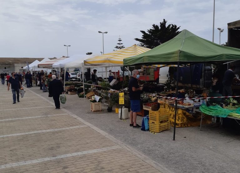 Marsala, per le festività natalizie il Mercato del Contadino anticipato al giovedì Marsala, per le festività natalizie il Mercato del Contadino anticipato al giovedì