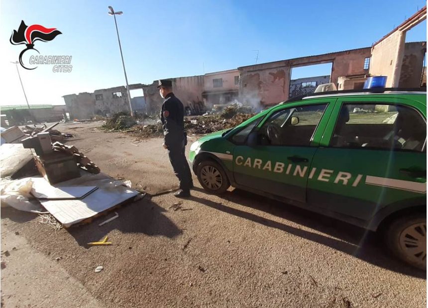 Carabinieri forestali a Castelvetrano: denunciate due persone per gravi illeciti ambientali