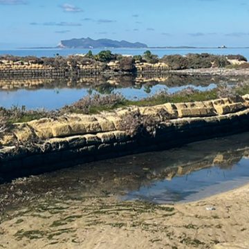 Riecco Acqua.Sal, il progetto già bocciato dal Consiglio Comunale, che è uscito dalla porta ed è entrato dalla finestra